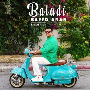 دانلود آهنگ جدید سعید عرب با عنوان بلدی
